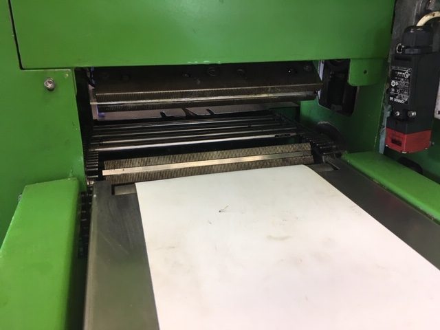 Panda 1000 Green 2
